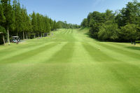 ���S���t���C������������ق̃S���t��B�@