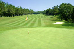 ���S���t���C���N���t�g�}������������ق̃S���t��B�@